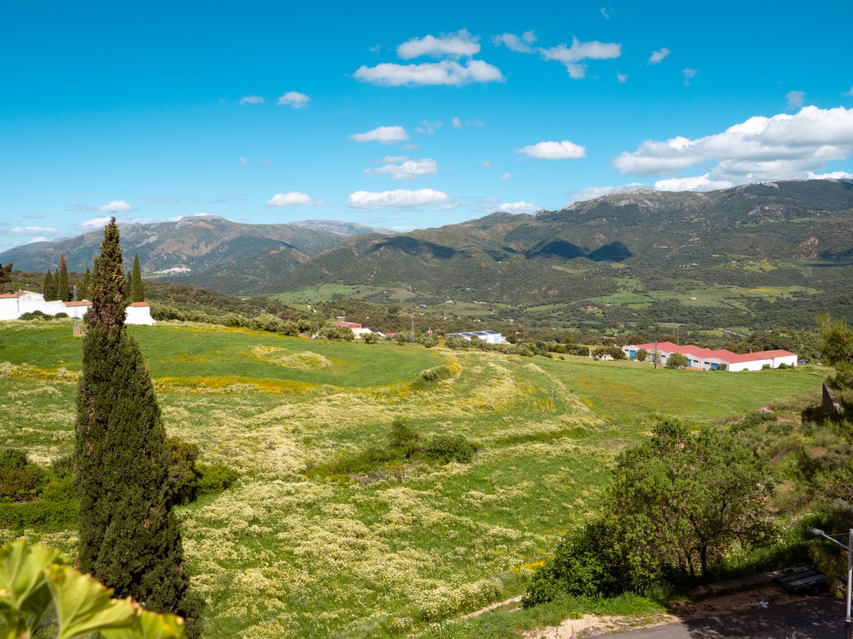 Cortes de la Frontera