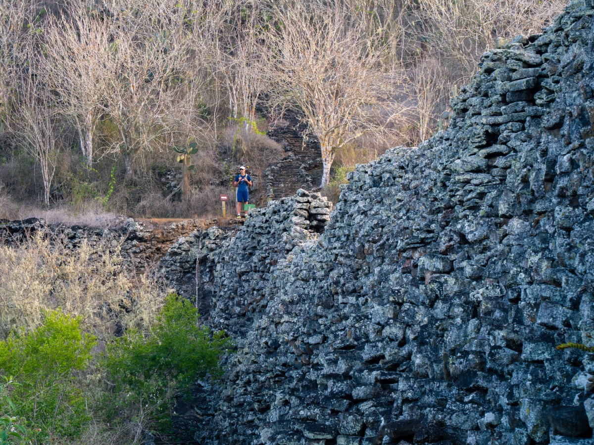 Muro delle lacrime Muro delle lacrime
