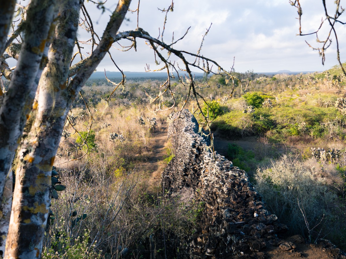Muro delle lacrime Muro delle lacrime