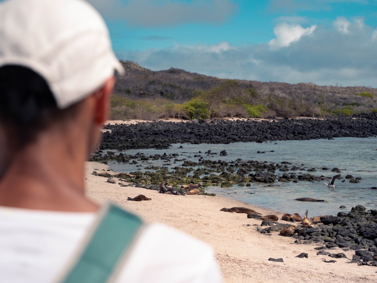 La Loberia La Loberia