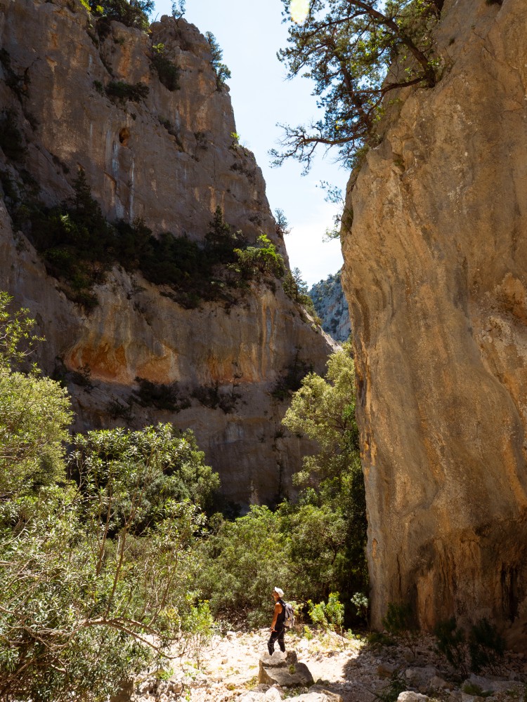 Trekking verso&nbsp;Cala Luna