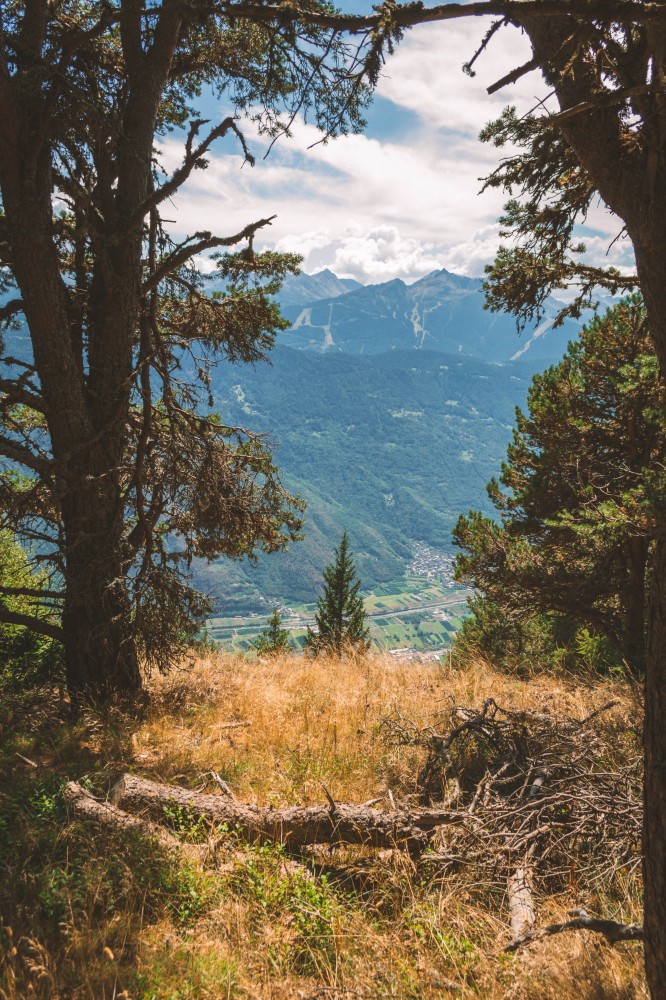 Panorama sulla media Valtellina