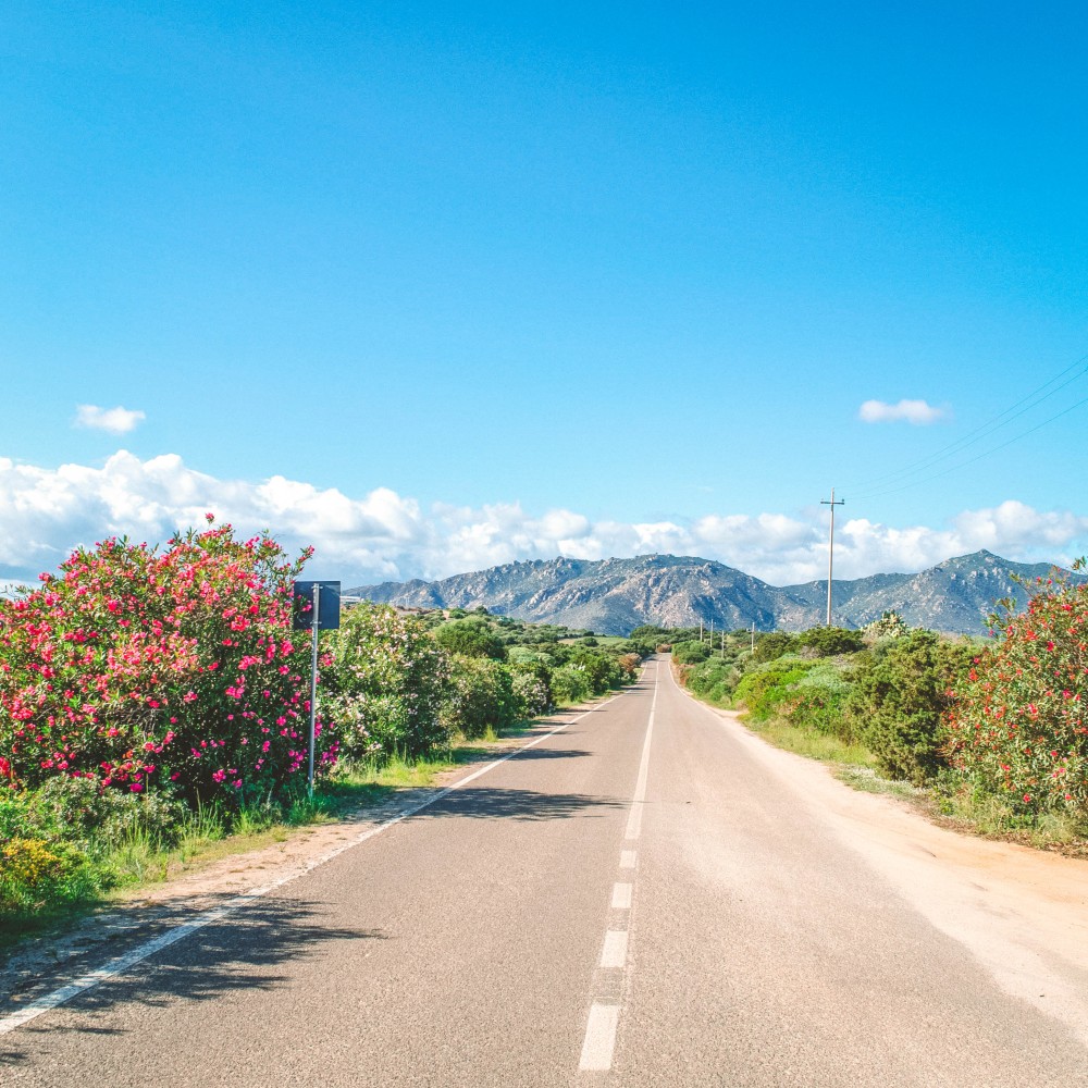 Strada di Capo Carbonara