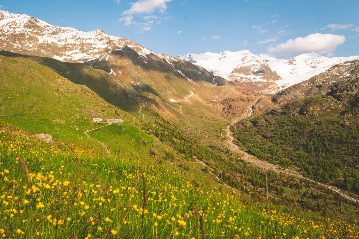  Panorama sulla valle del Ghiacciaio dei Forni